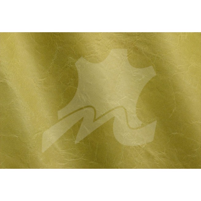 Aligo Group фото